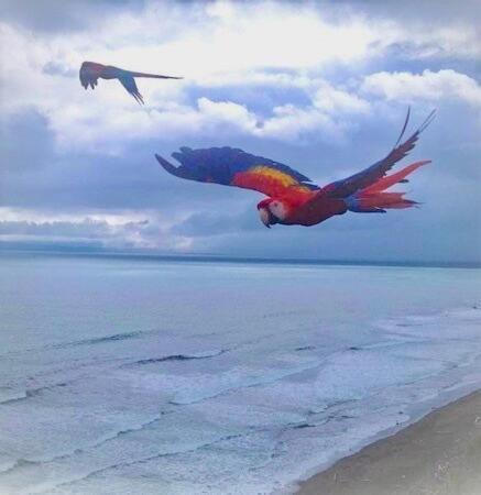Coloso Del Mar Zancudo Dış mekan fotoğraf